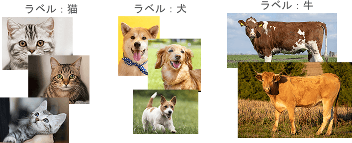 機会学習で画像を「猫」「犬」「牛」のいずれかに分類する